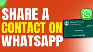 How to share a contact on Whatsapp
